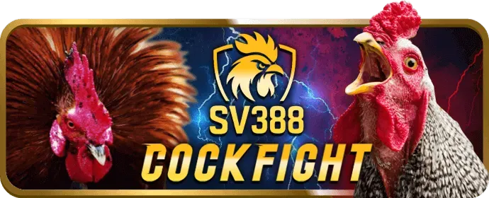 Ưu Đãi VIP Độc Quyền VBET