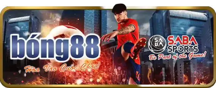 Chương trình VIP Vbet Login